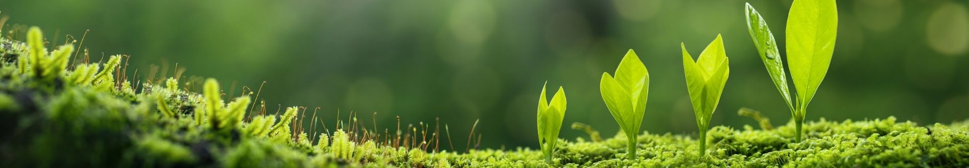 sostenibilità fondazione esedra